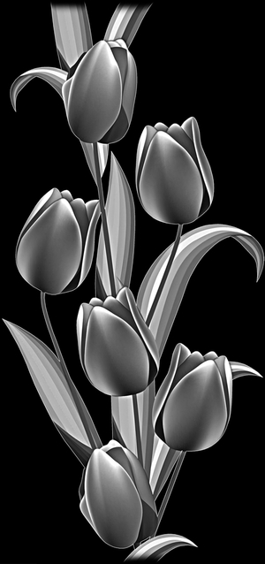 Тюльпаны - картинки для гравировки
