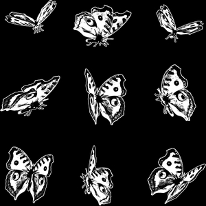 Бабочки - картинки для гравировки