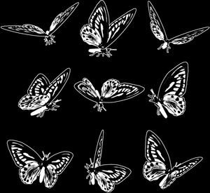 Бабочки - картинки для гравировки