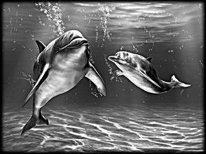 Дельфины - картинки для гравировки